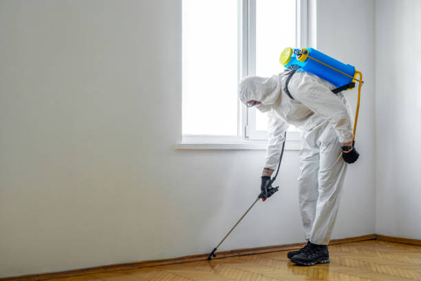 Pest Prevention Services in Sidney, OH